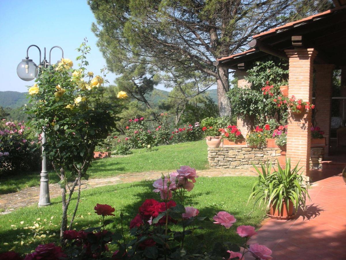 Villaspino Capolona Exterior photo
